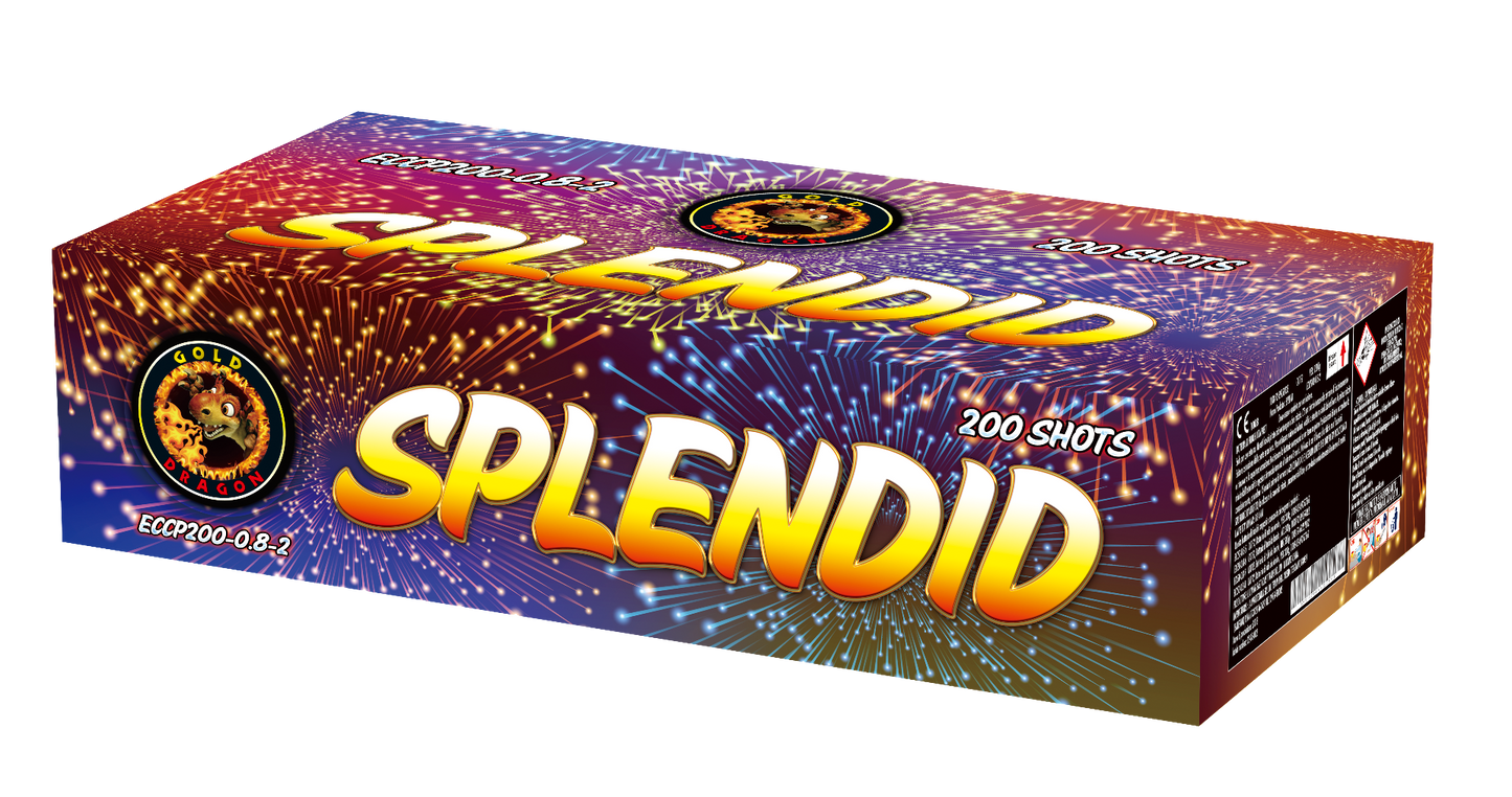 ECCP200-0.8-2 SPLENDID 20*25*120* 200 LANCI F2 2/1