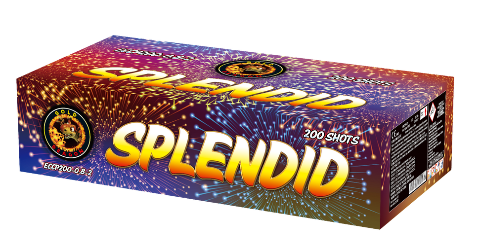 ECCP200-0.8-2 SPLENDID 20*25*120* 200 LANCI F2 2/1