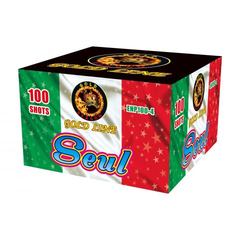 ENP100-4 SEUL 30*36*225* F4 1/1 100 LANCI