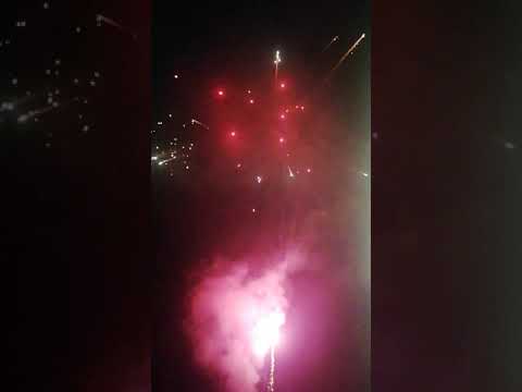 YDCP100-1.2-2 LION KING 30*36*225* 1/1 F2