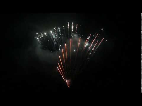 JXC11 SILVER STROBE WILLOW 20*25*175 70 LANCI 4/1 F2