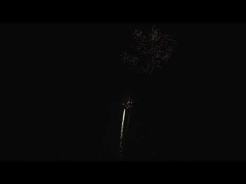 ECC25-7 KING WHISTLE CRY 25 LANCI 30*36*225* 4/1 F2